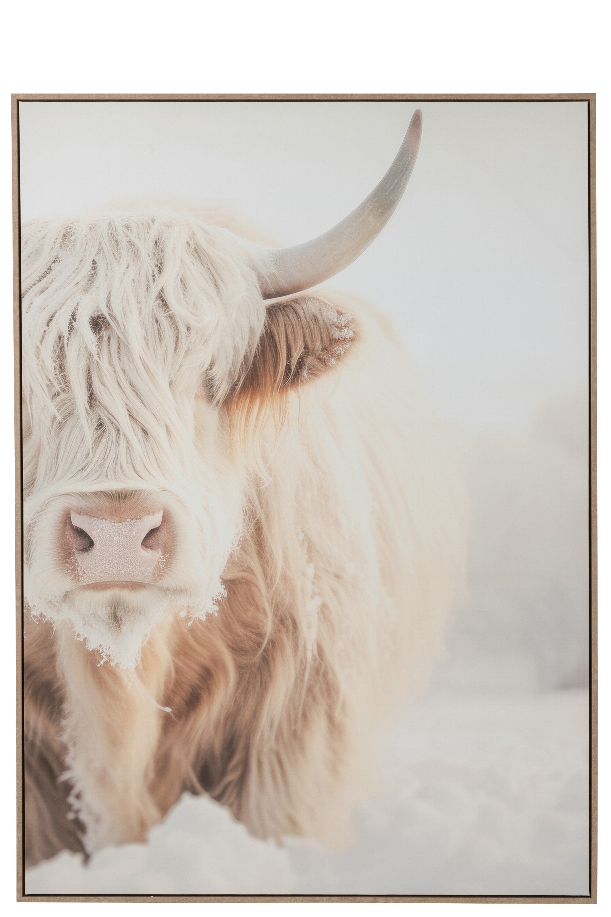 Wanddecoratie Yak - J-LINE