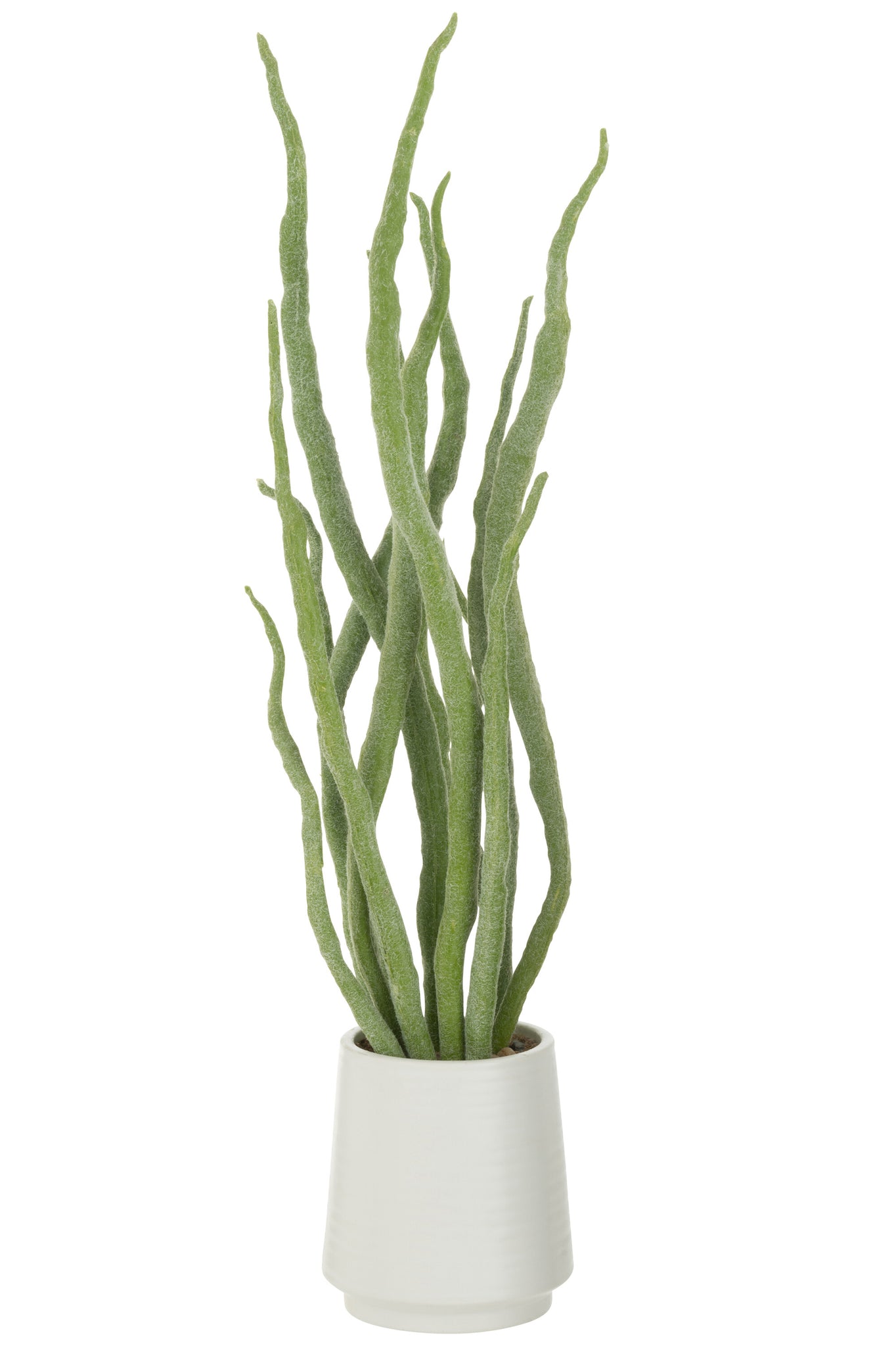 Plante grasse en pot Artificielle Verte - J-LINE
