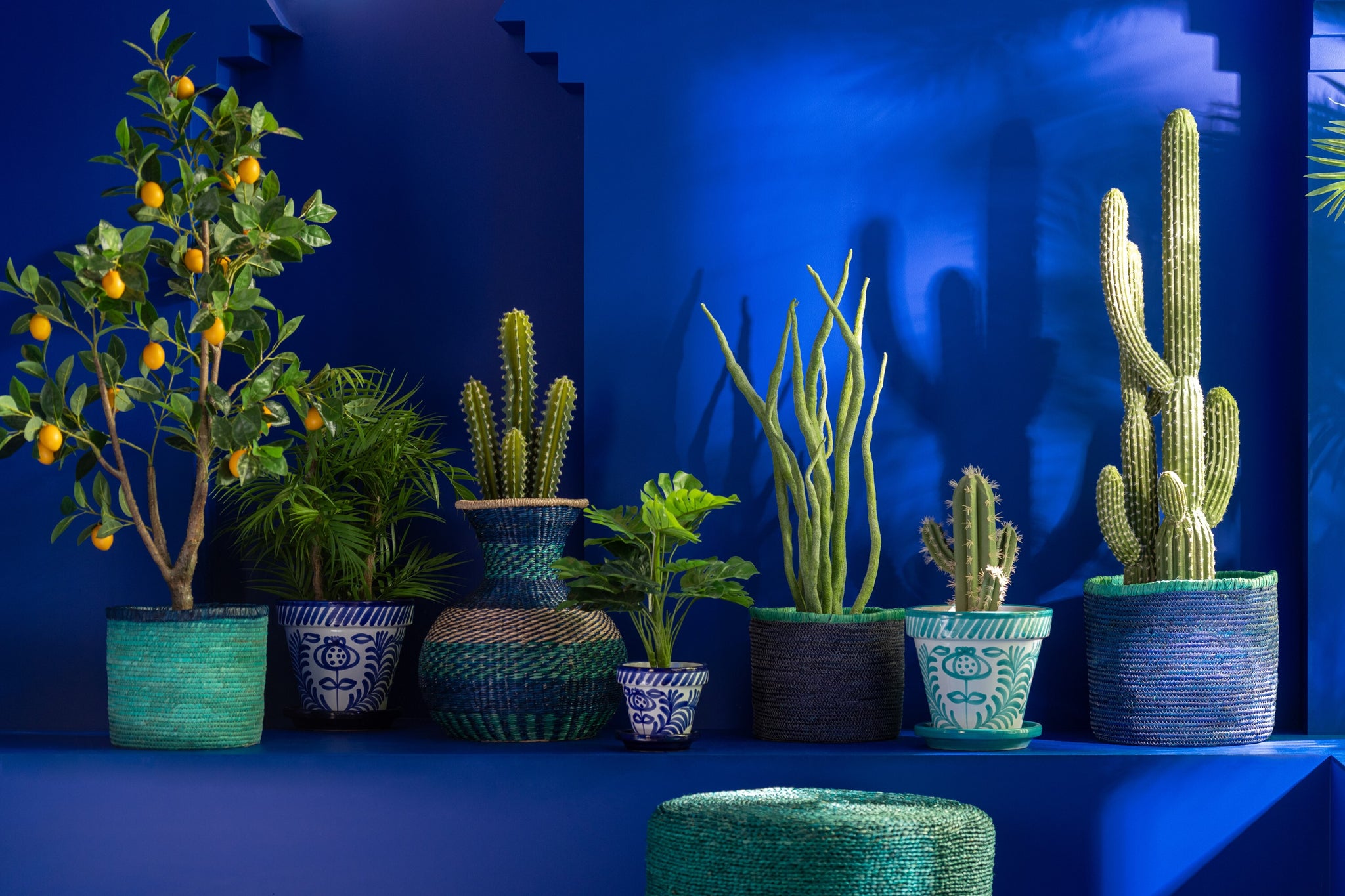 Plante grasse en pot Artificielle Verte - J-LINE