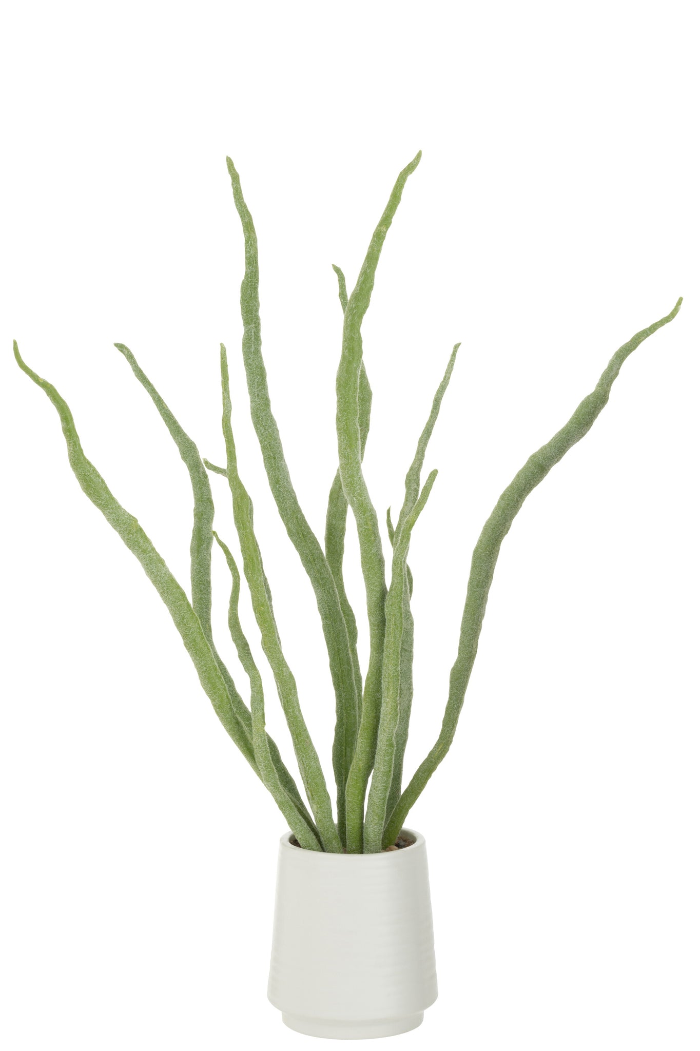 Plante grasse en pot Artificielle Verte - J-LINE