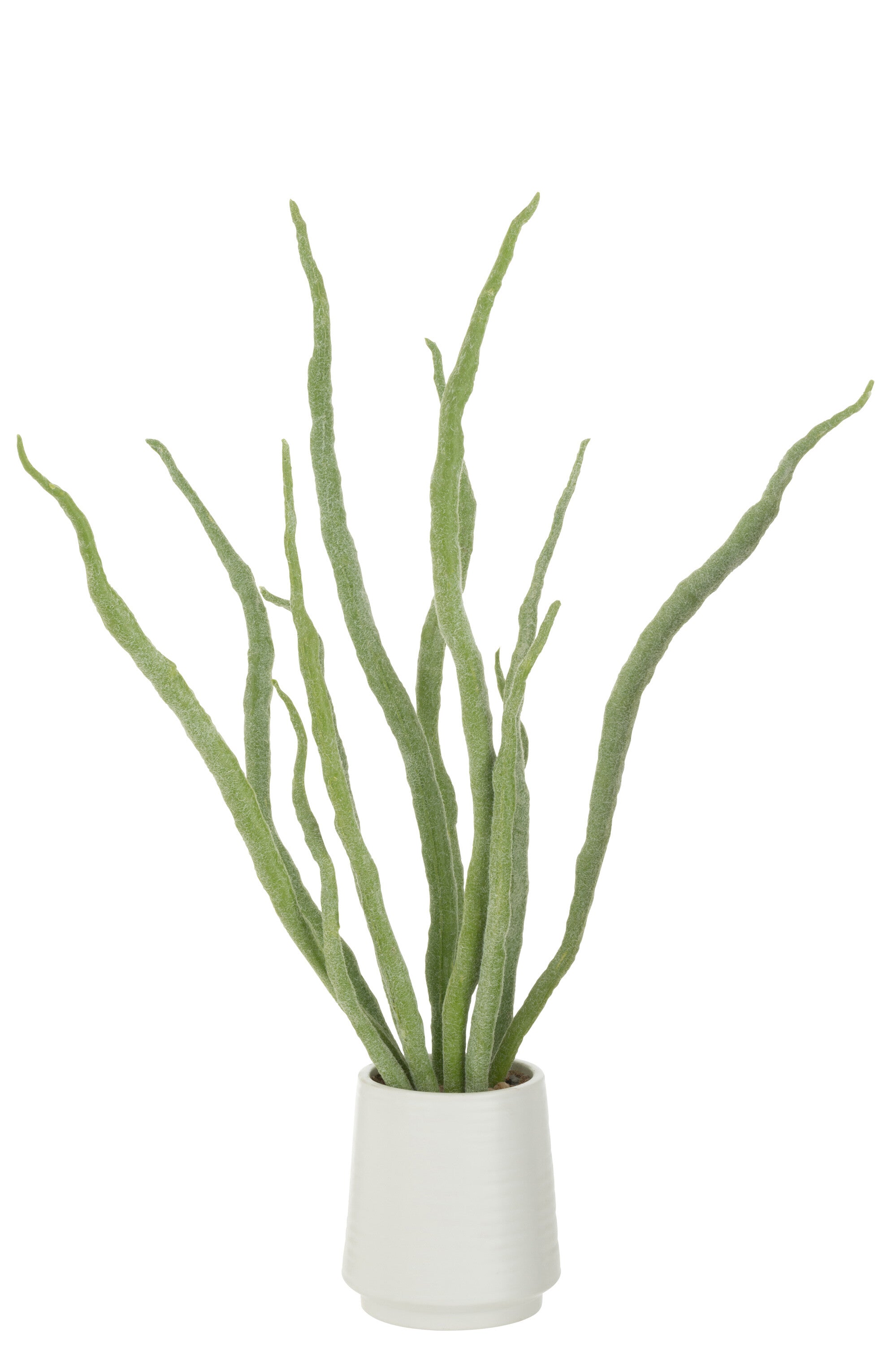Vetplant in pot Kunstmatig Groen - J-LINE