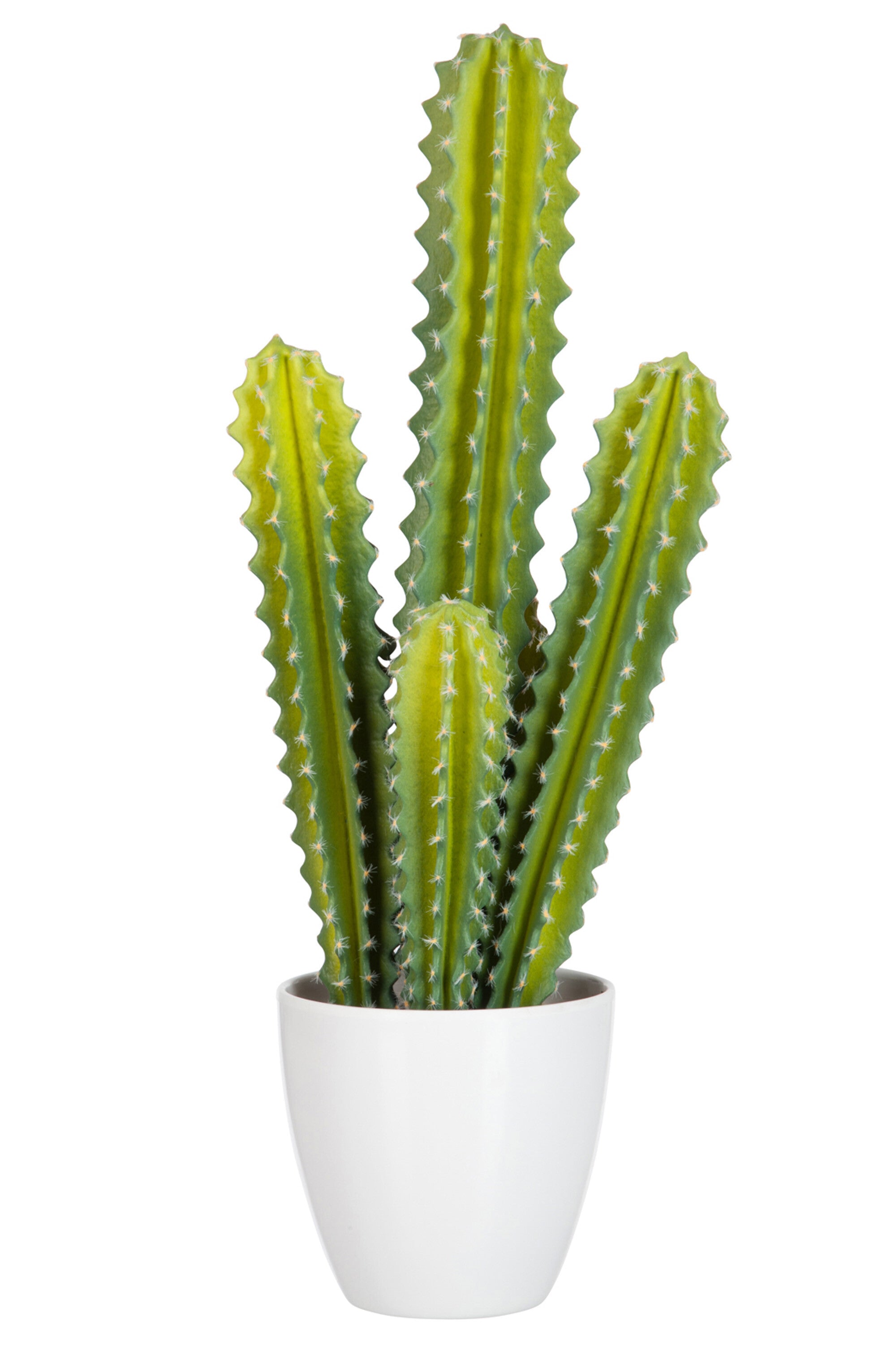 Cactus 5 Delen plastic Groen - J-LINE