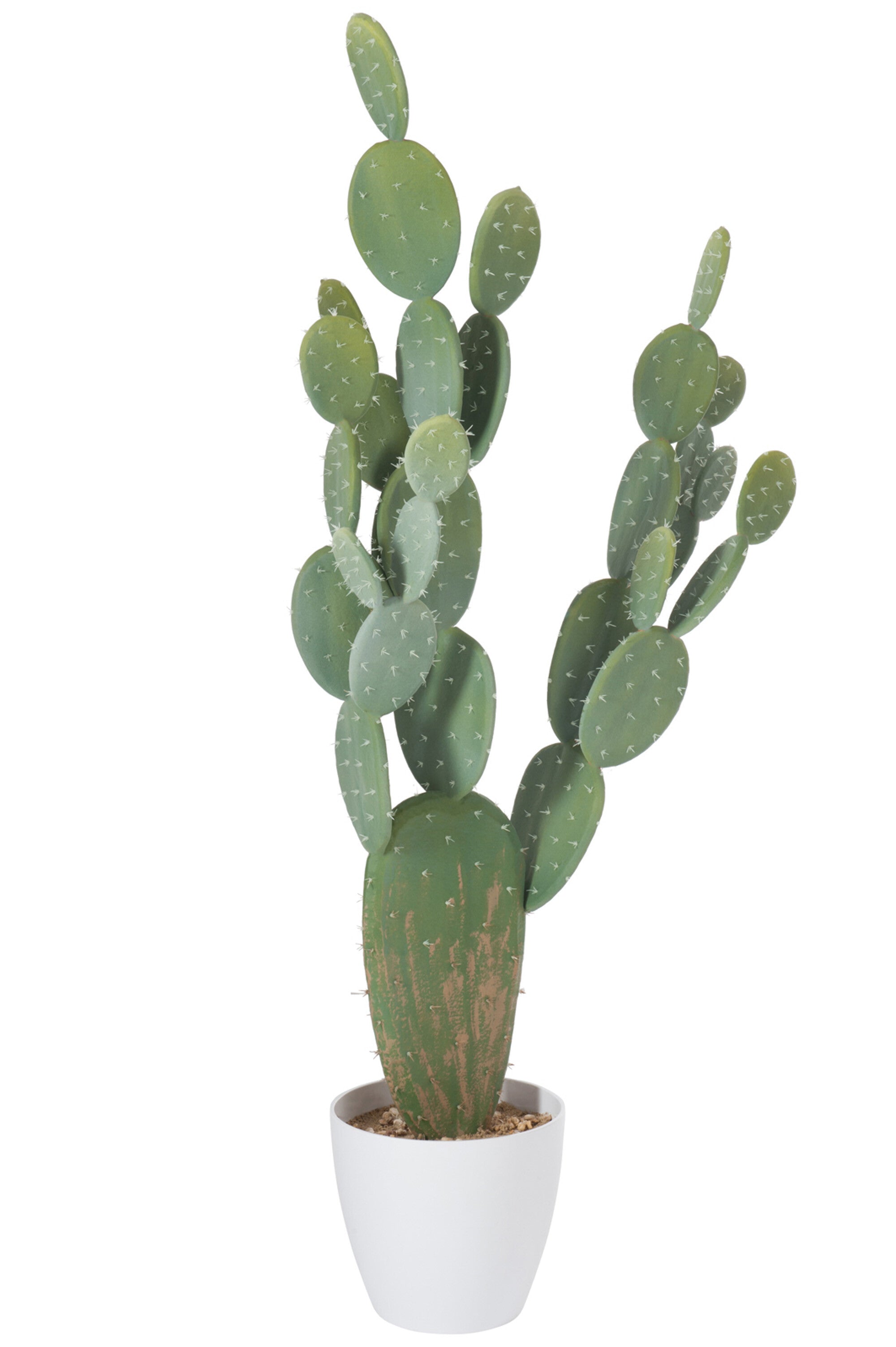 Cactus+Pot Plastic Groen/Melamine Wit XL - J-LINE