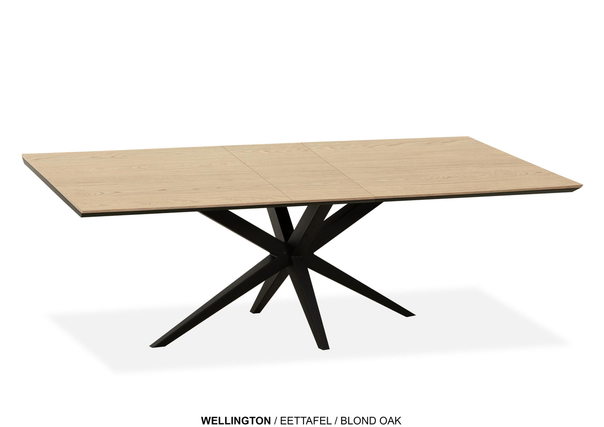 Eettafel Wellington rechthoekig uitschuif  lamulux - MX