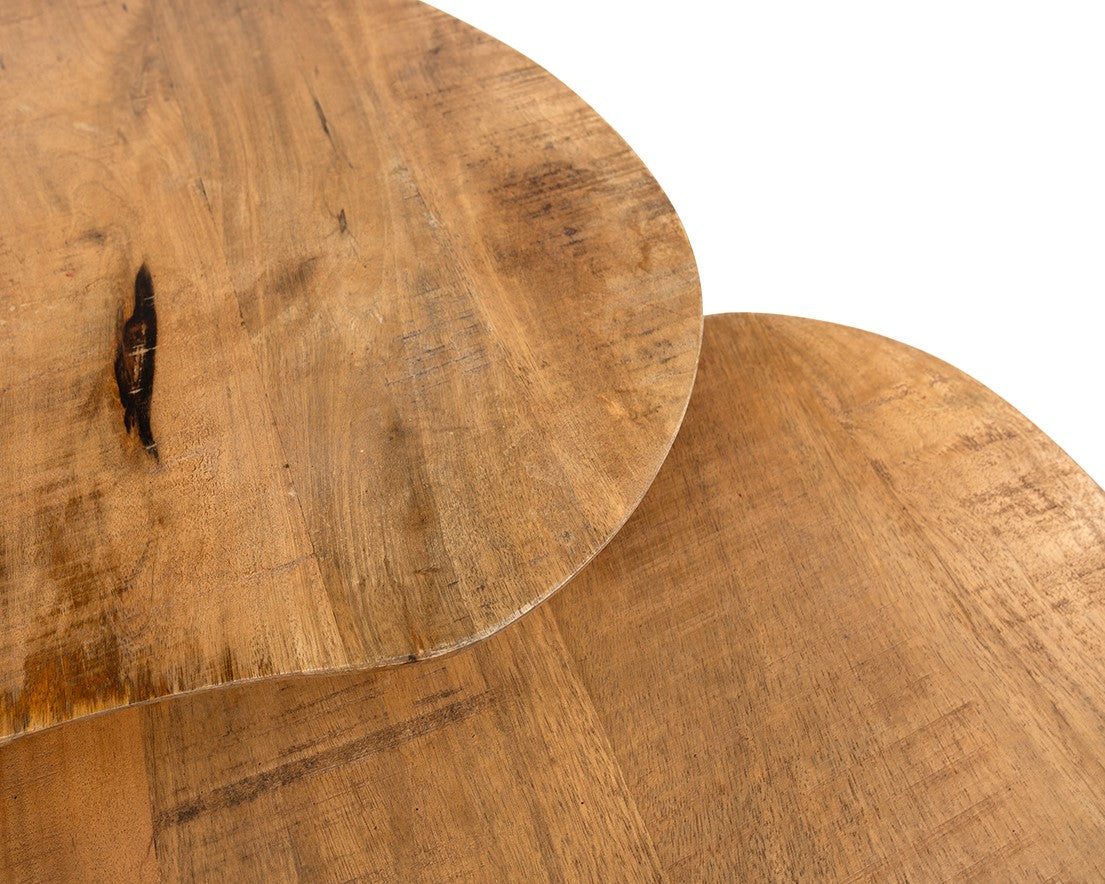 Salontafel Erfurt organisch, set van 2 - NW