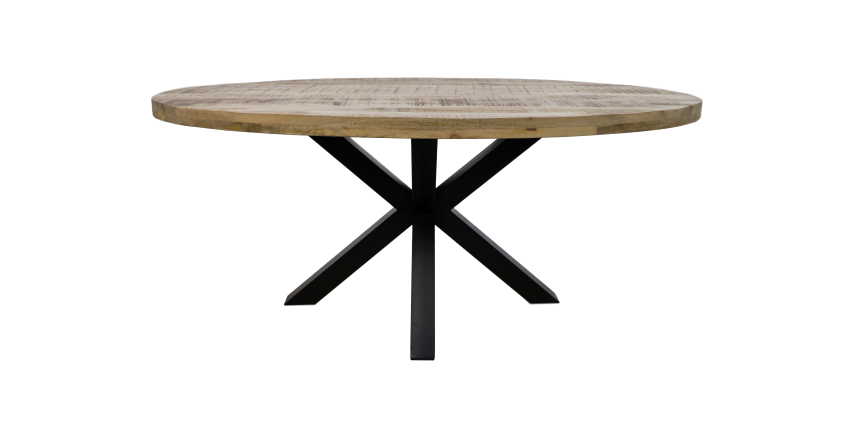Tafelblad Portland ovaal - 200x100x5 - Naturel - Mango HSM